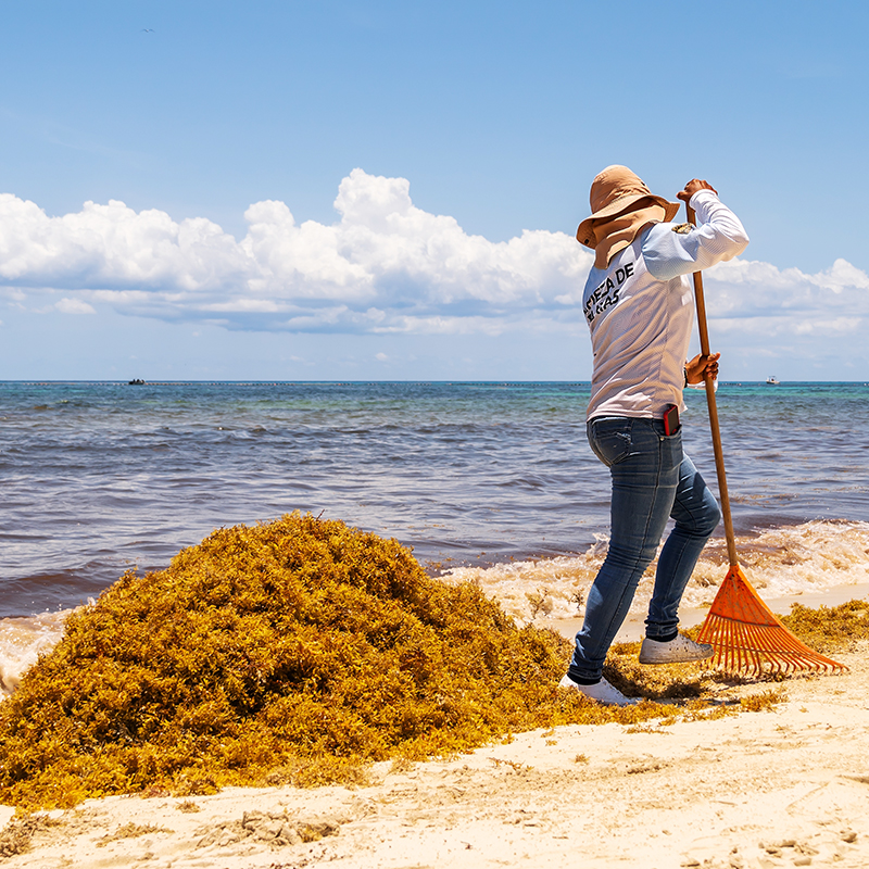 Beach_cleaner_8