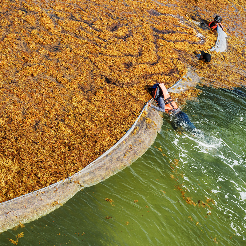 Beach_cleaner_7