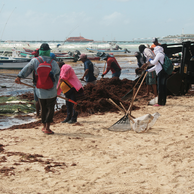 Beach_cleaner_5