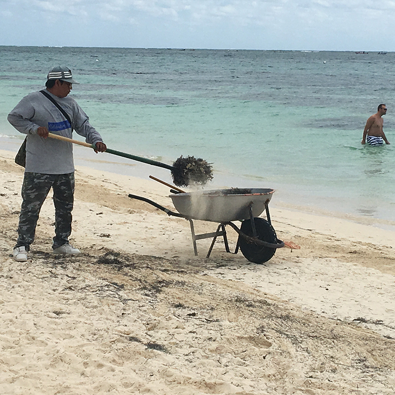 Beach_cleaner_4