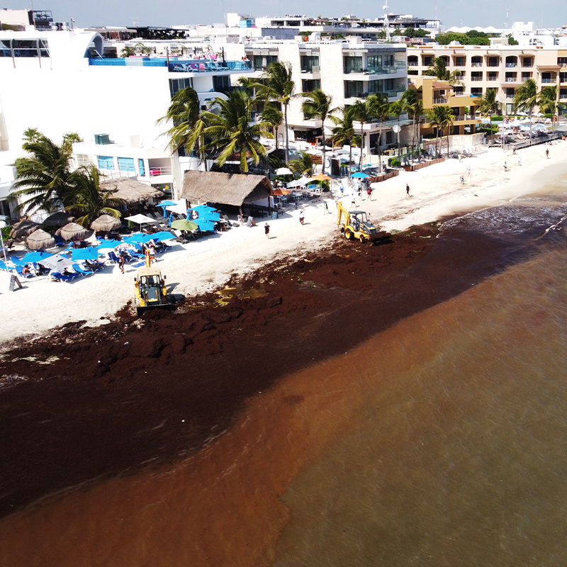 Beach_cleaner_2