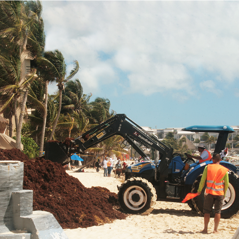 Beach_cleaner_1